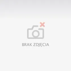 BeMINE Uwodzicielskie Perfumy z Feromonami dla Kobiet 100ml | 100% ORYGINAŁ| DYSKRETNA PRZESYŁKA