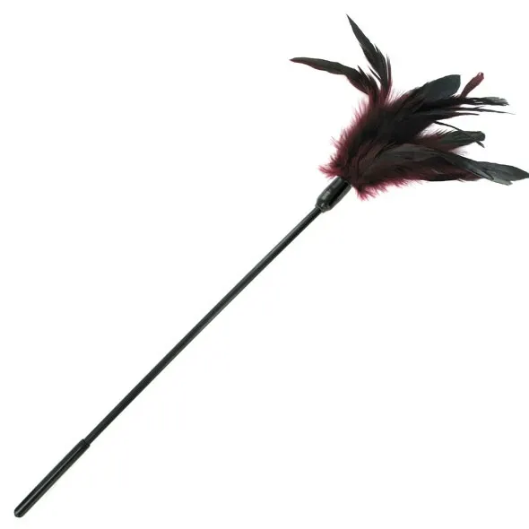 SexShop - Sportsheets Starburst Tickler – Miotełka z piórkami  do fantazji erotycznych śliwkowa - online